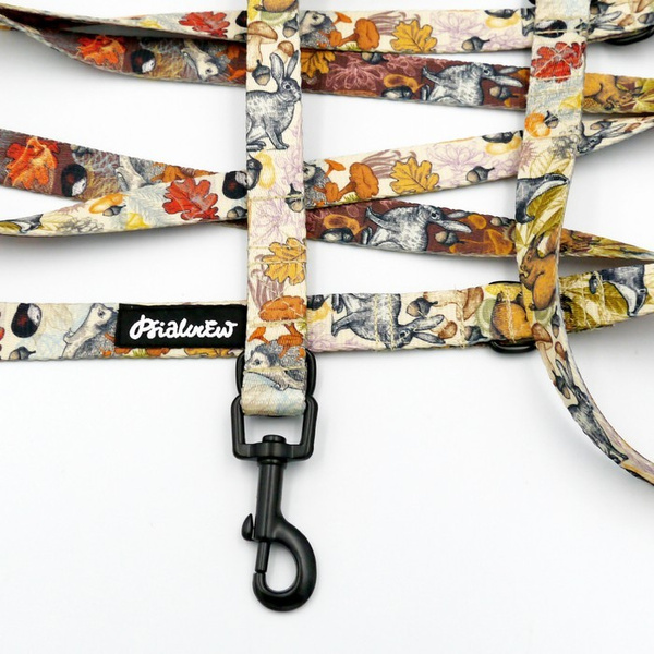 Long Dog Leash Forest Treasures Psiakrew width 2 cm (0.78"), black snap hook 6 cm