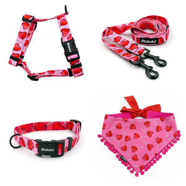 ZUBEHÖRSATZ für einen kleinen Hund Lollipops Psiakrew -Serie; Halsband, Geschirr, Leine, Bandana