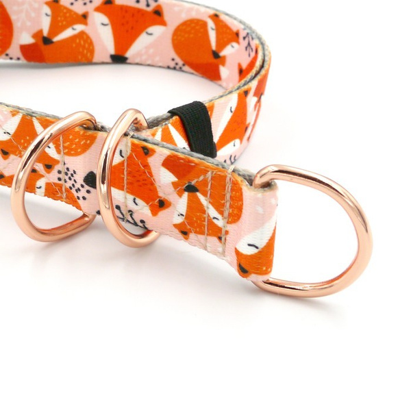 Foxy Lady Psiakrew - Half-Clamp-Halsband, 3 cm breit, für mittlere und größere Hunde, golden Beschläge