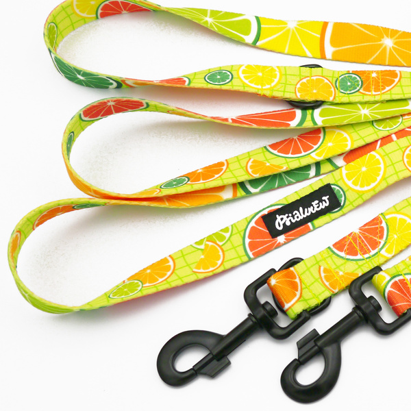 Lange verstellbare Hundeleine Lemoniada Psiakrew, Breite 2,5 cm, schwarzer Karabiner 8 cm