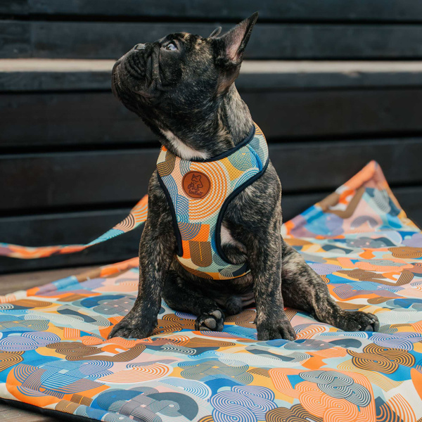 Wasserdichte Matte für Hunde, Welpen, Katzen Geo Snake Psiakrew