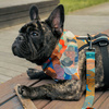 Premium Dog Bandana Geo Snake handkerchief style to tie around your pet’s neck