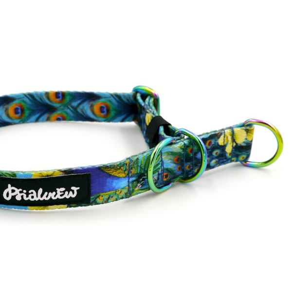 Half-choke collar Peacock's Eye Psiakrew, 2 cm wide, for small dogs, Holo extras
