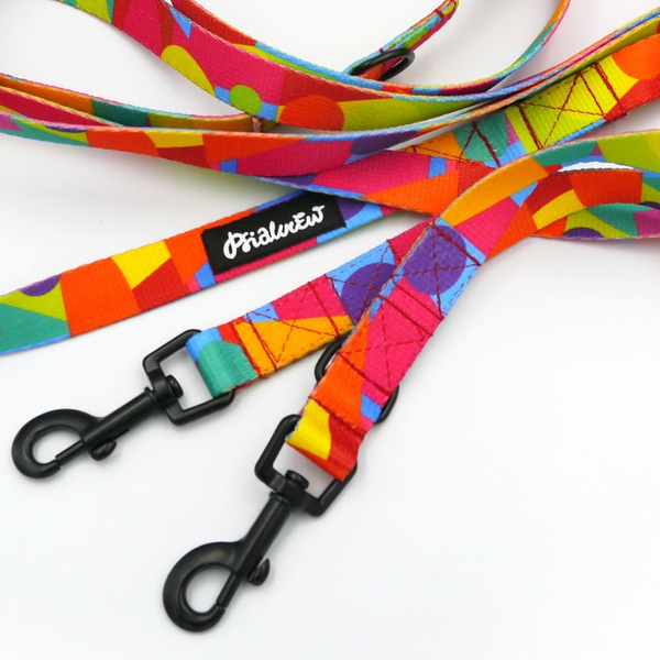 Hundeleine Kaleidoskop Psiakrew Breite 2 cm, schwarzer Karabinerhaken 6 cm