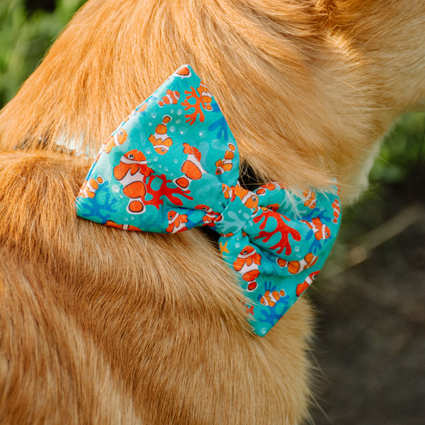 Psiakrew Dog Bow Tie Blue Lagoon, elegant classic bow