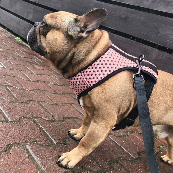 Dog Harness Dotty Dots, Always Feeling Cool, Super Soft Psiakrew