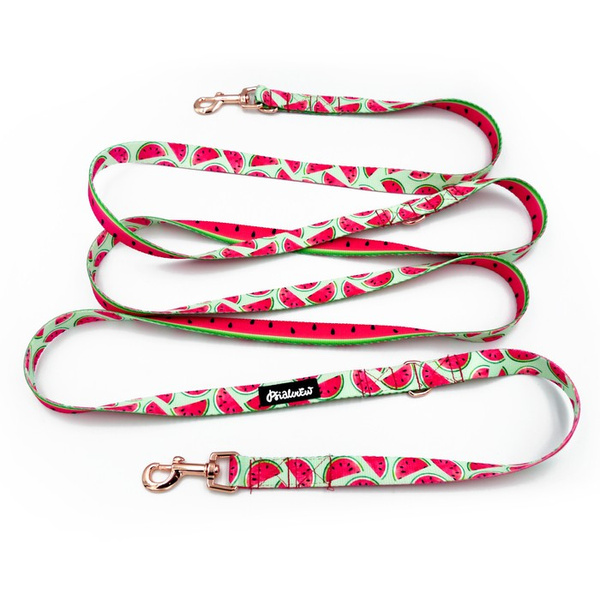 Hundeleine Watermelon Psiakrew Breite 2 cm, Roségold Karabinerhaken 6 cm