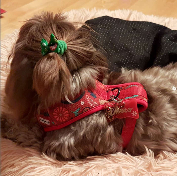 Dog Harness Winter Folk, Always Feeling Cool, Super Soft Psiakrew