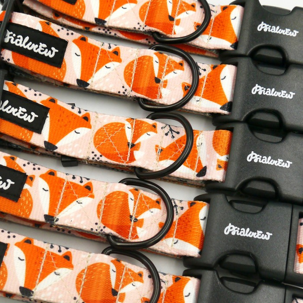 Verstellbares Hundehalsband- Foxy Lady, 3 cm breit für mittelgroße und große Hunde
