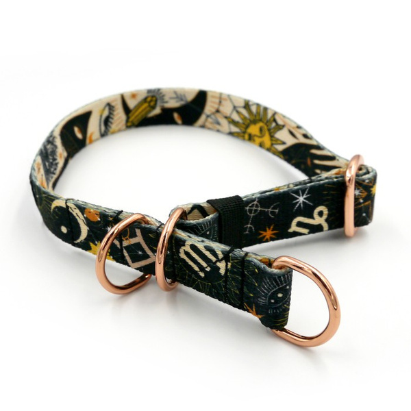 Half-Choke-Halsband Zodiak, 2 cm breit, für kleine Hunde, goldene Accessoires