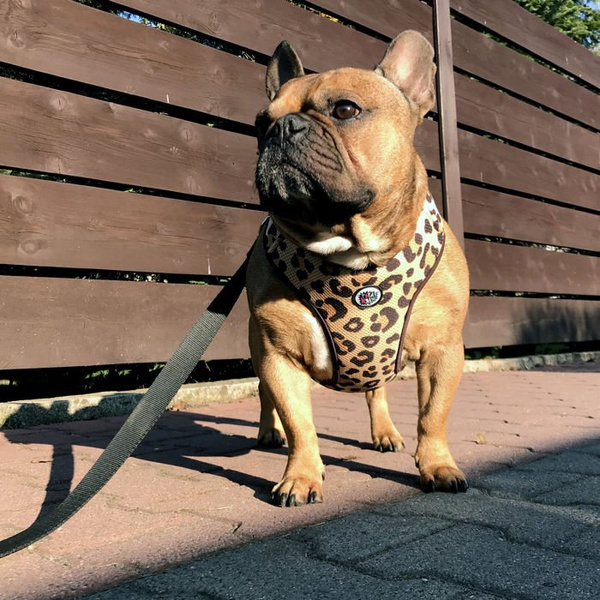 Dog Harness, Tarzan panthera pattern, Always Feeling Cool, Super Soft Psiakrew