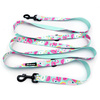 Dog Leash Azure Pool width 2.5 cm, 1"  wide, snap hook black 8cm