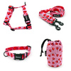 ACCESSORY KIT. Small dog. Lollipops Psiakrew Series; Collar, Harness, Leash, Sachet for dog treats