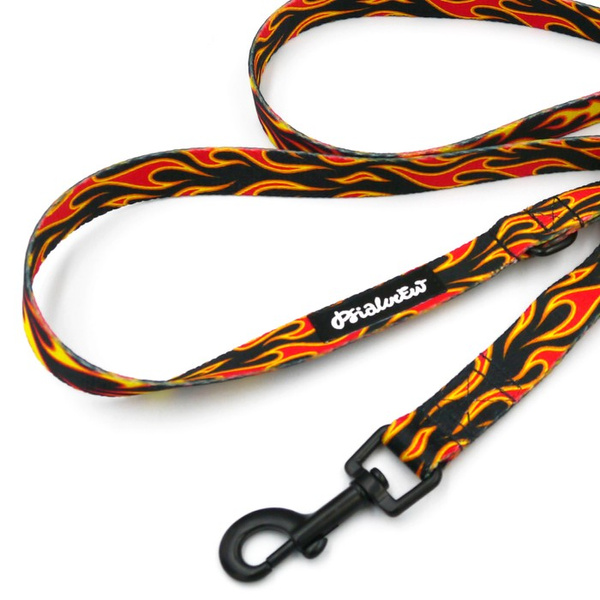 Walking leash for Dog Dog on Fire Psiakrew width 2 cm, black snap hook 6 cm