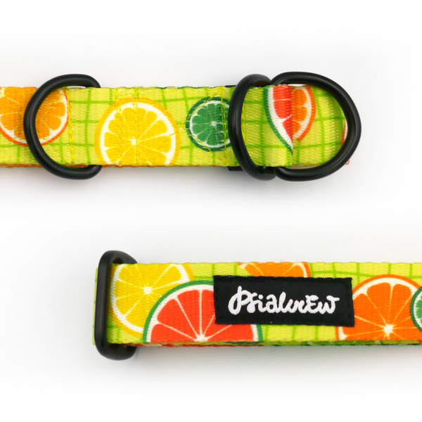 Halb-Klemmhalsband Lemonade Psiakrew, 2,5 cm breit, für mittelgroße und größere Hunde, Schwarz-Beschläge
