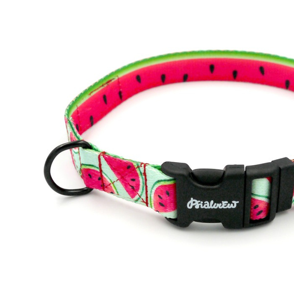 Verstellbares Hundehalsband Watermelon Psiakrew, Breite 2 cm, kleiner Hund, schwarze Beschläge