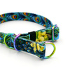 Half-choke collar Peacock's Eye Psiakrew, 2 cm wide, for small dogs, Holo extras