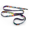 Dog Leash Crazy Leopard width 2.5 cm, 1"  wide, black snap hook 6 cm