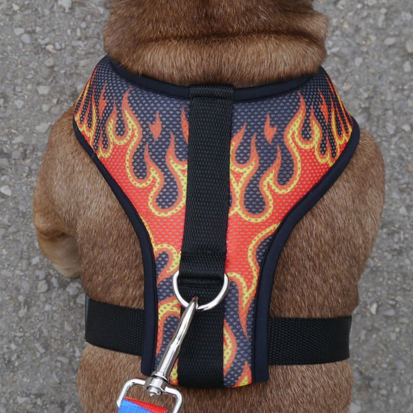 Dog Harness, Always Feeling Cool, Super Soft Psiakrew Dog On Fire