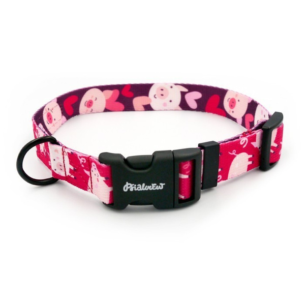 Dog Collar Piggy in Love Psiakrew 2.5 cm 1"  wide, black fittings