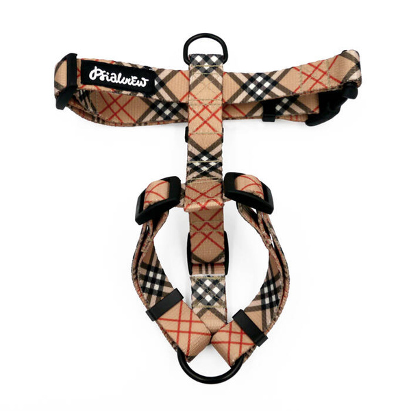 Harness for Dog, Dogberry Psiakrew Guard Harness Small Harness for small dogs, puppies, black extras