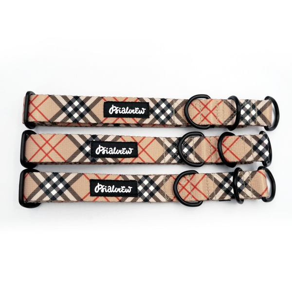 Half-choke collar Dogberry Psiakrew, 2.5 cm wide, medium and big dogs, black extras