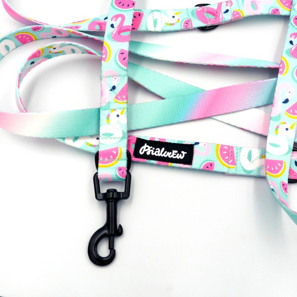 Long Dog Leash Azure Pool Psiakrew width 2 cm (0.78"), black snap hook 6 cm