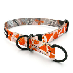 Half-choke collar Foxy Lady, 2.5 cm wide, medium and big dogs, black extras