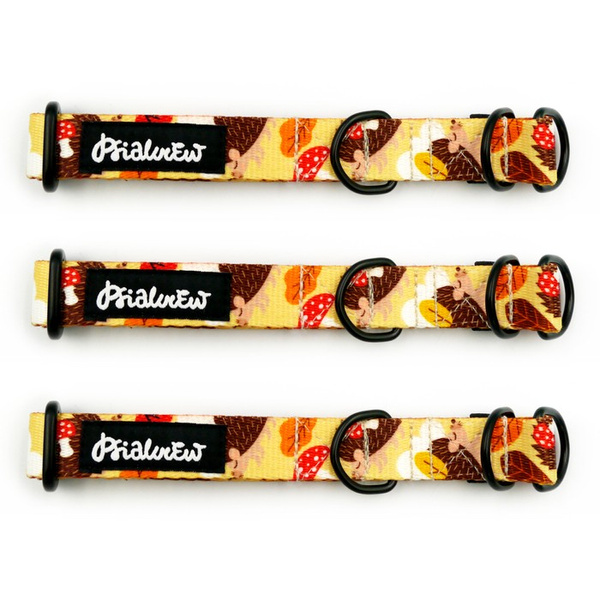 Obroża półzaciskowa Jeż Marzyciel szeroka na 2 cm, dla małych psów, czarne dodatki