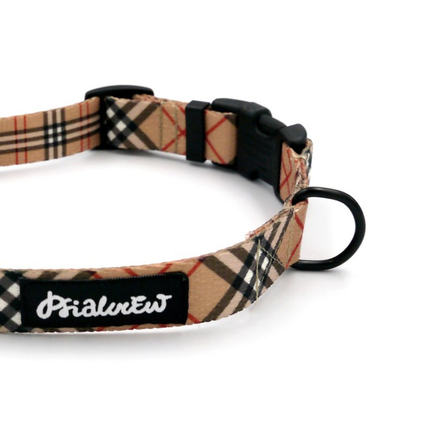 Verstellbares Halsband Dogberry Psiakrew, 2cm breit, schwarze Beschläge