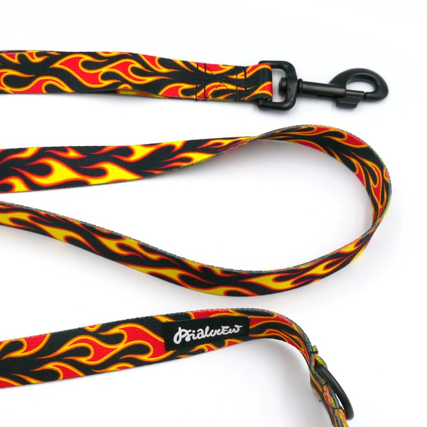 Smycz spacerowa miejska dla Psa Dog On Fire, szerokość 2,5 cm, duży czarny karabińczyk 8cm