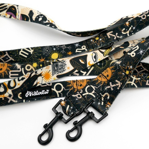 Hundeleine Zodiak Psiakrew, Breite 2,5 cm, Karabiner 6 cm schwarz