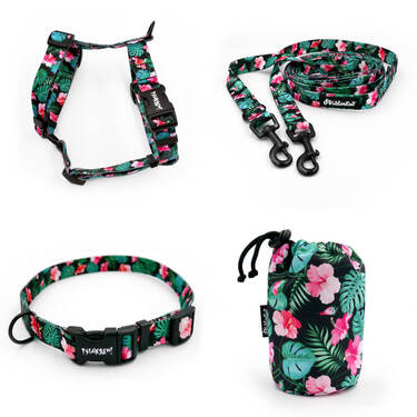 ACCESSORY KIT. Small dog. Tropical Monstera Psiakrew Series; Collar, Harness, Leash, Sachet for dog treats