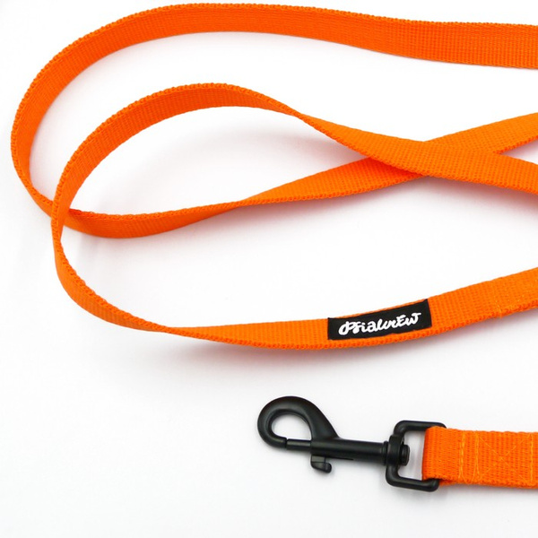 Long Orange Dog Leash width 2 cm (0.78") wide; black snap hook 7 cm