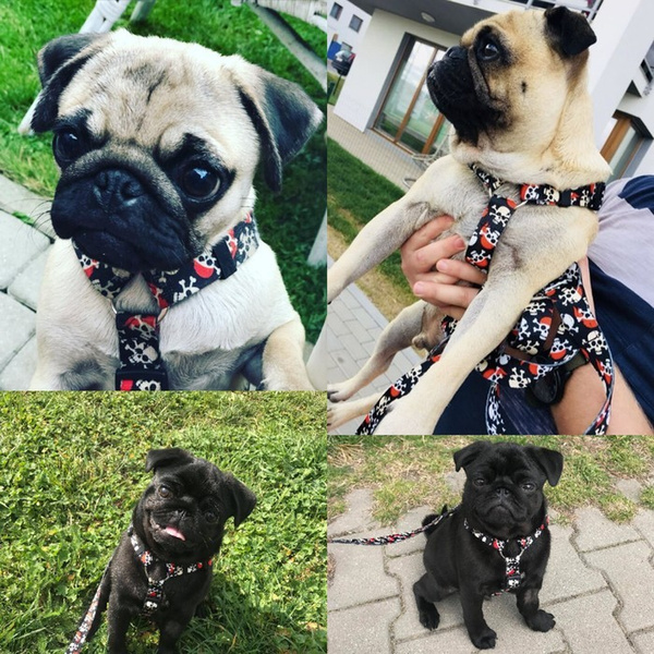 Harness for Dog, Pirates Guard Harness Small Harness for small dogs, puppies