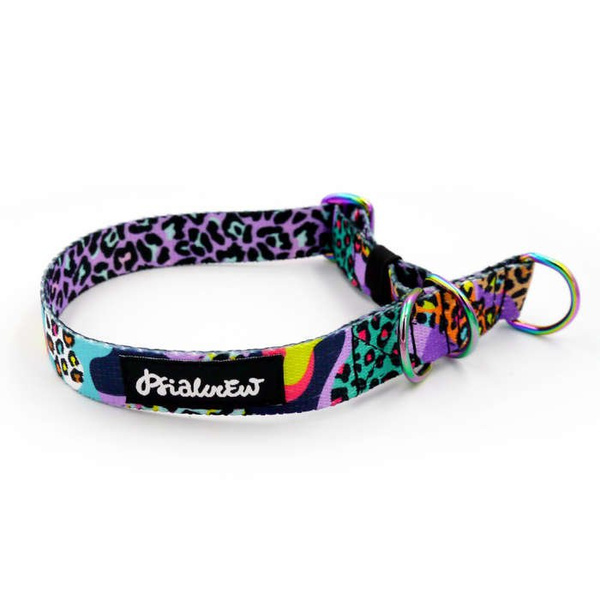 Obroża półzaciskowa Crazy Leopard szeroka na 2 cm, dla małych psów, Holo dodatki