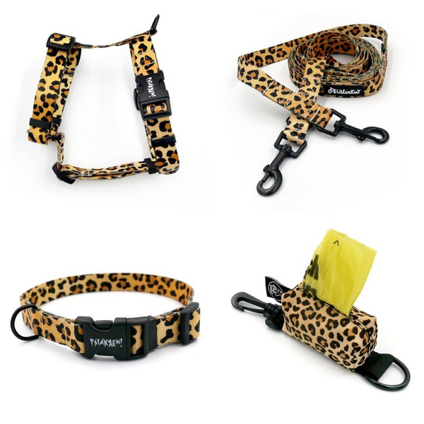 ACCESSORY KIT. Small dog. Tarzan Psiakrew Series; Collar, Harness, Leash, Pouch