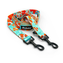 Dog Leash Blue Lagoon Psiakrew width 2.5 cm, 1" wide, snap hook black 6cm