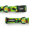 Dog Collar Psiakrew Toucan 2.5 cm 1" wide, black extras