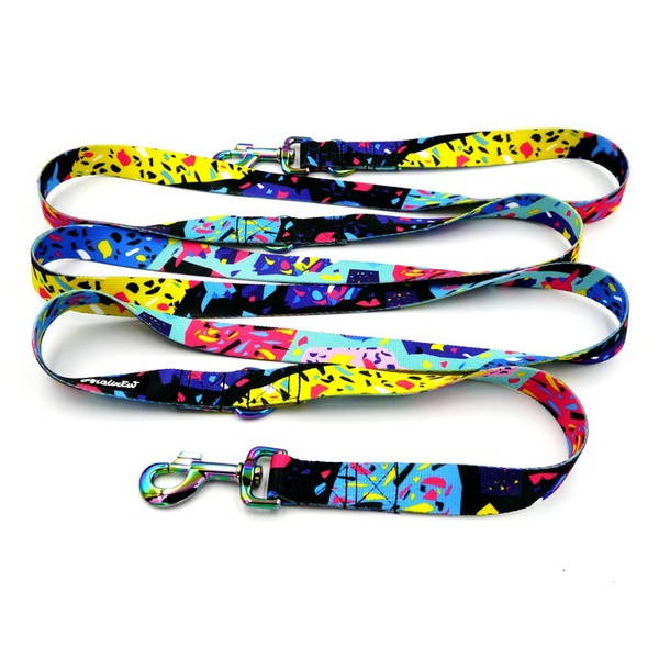 Lange Hundeleine, wendbar- Terrazzo, 2,5 cm, Holo-Beschläge, 8 cm, Psiakrew