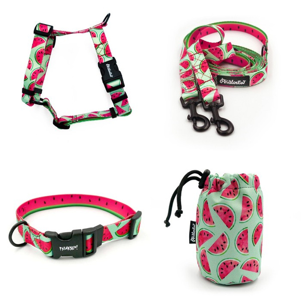 ACCESSORY KIT. Small dog. Watermelon Psiakrew Series; Collar, Harness, Leash, Sachet for dog treats