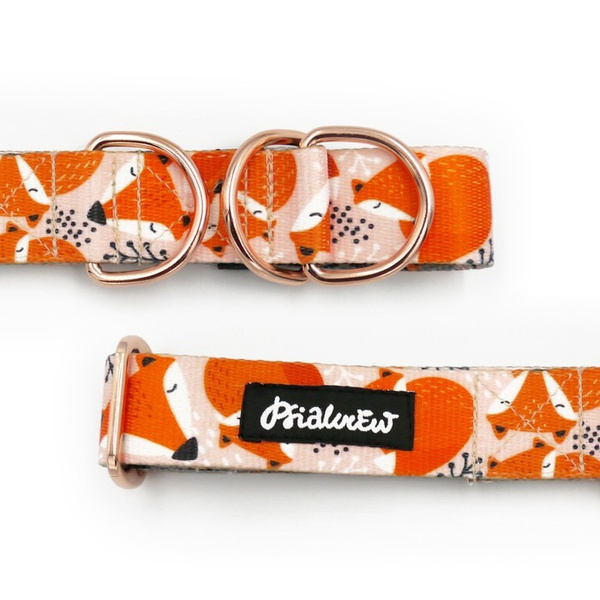 Half-choke collar Foxy Lady Psiakrew, 3 cm wide, medium and big dogs, pink gold extras