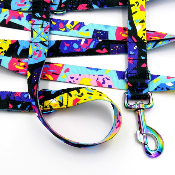 Dog Leash- Terrazzo width 2.5 cm, 1" wide, holo snap hook 8cm, Psiakrew