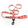 Dog Leash Fruit Jelly width 2.5 cm, 1"  wide, snap hook glossy nickel 7cm