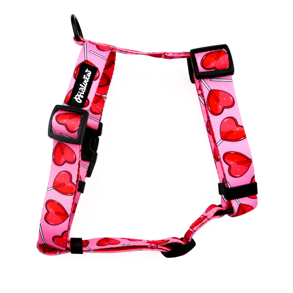 Guard Harness for Dog Lollipops Psiakrew, black extras