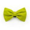 Dog Bow Tie Lime Pet Bow Tie, Bowtie, Collar Attachment