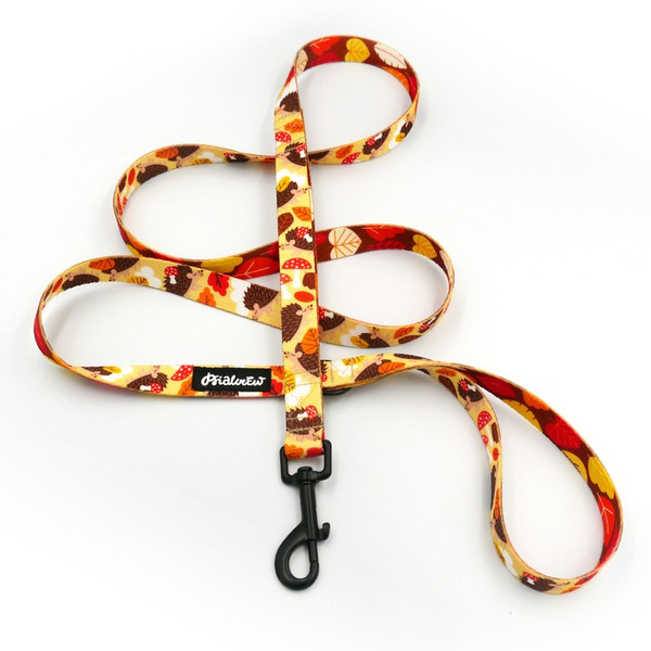 City-Leine für Dog Hedgehog Dreamer Breite 2 cm, schwarzer Karabiner 7 cm