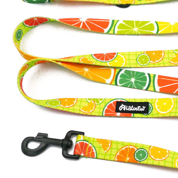 Long Adjustable Dog Leash Lemonade Psiakrew, width 2.5 cm, black snap hook 8 cm