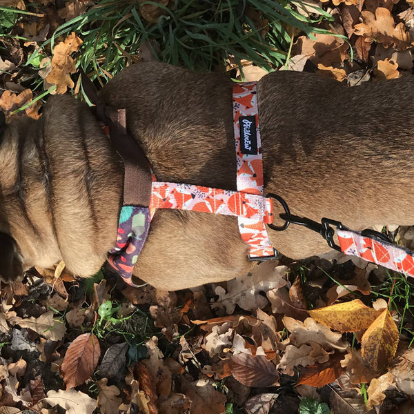 Guard Harness for Dog Foxy Lady Psiakrew, black extras