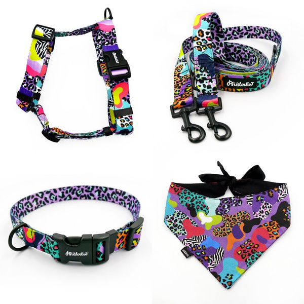 ACCESSORY KIT. Medium dog. Psiakrew Crazy Leopard Series; Collar, Harness, Leash, Bandana